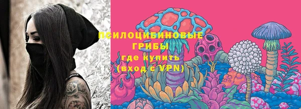 героин Няндома