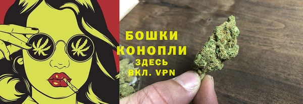сатива Новодвинск