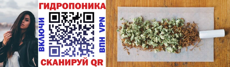 Бошки марихуана VHQ  продажа наркотиков  Тырныауз 